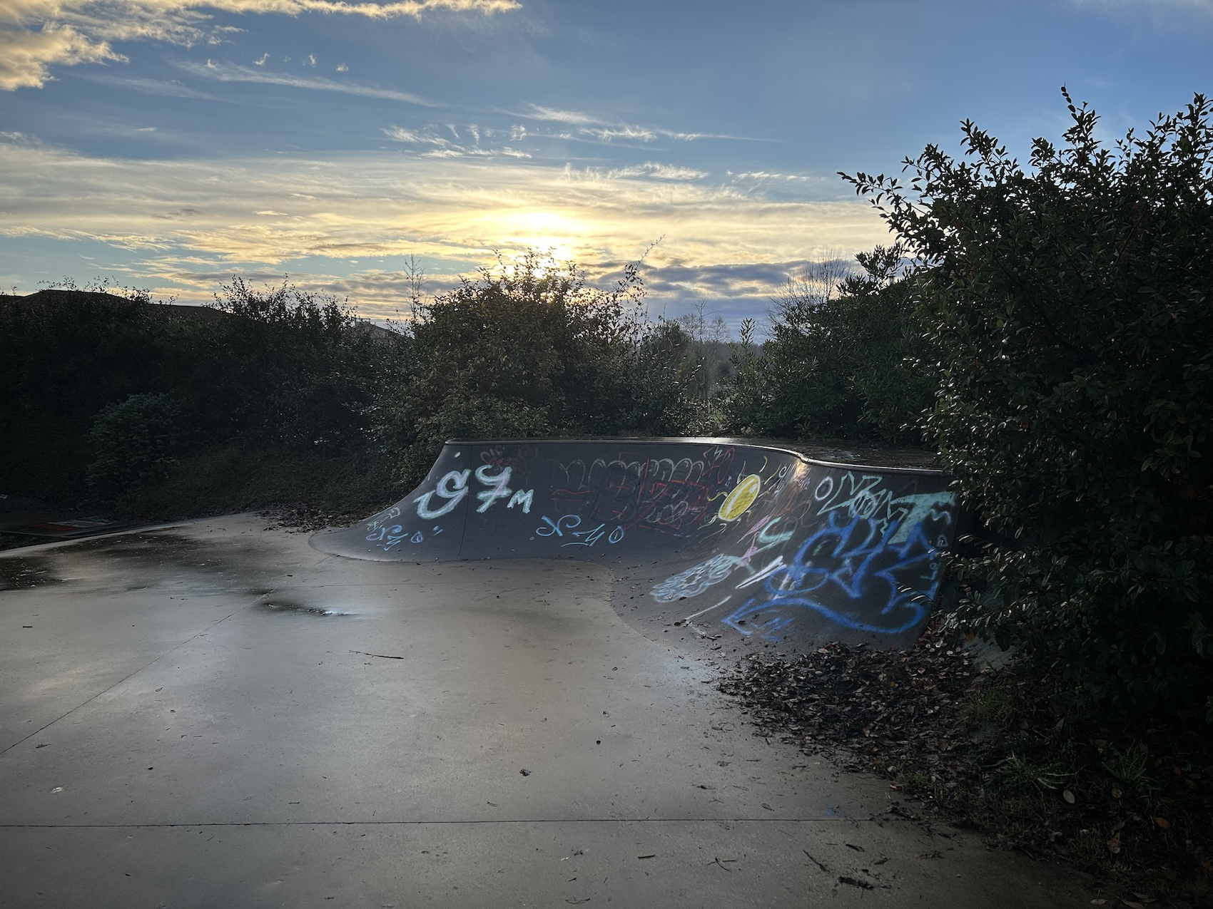 Saint-Martin-de-Seignanx skatepark